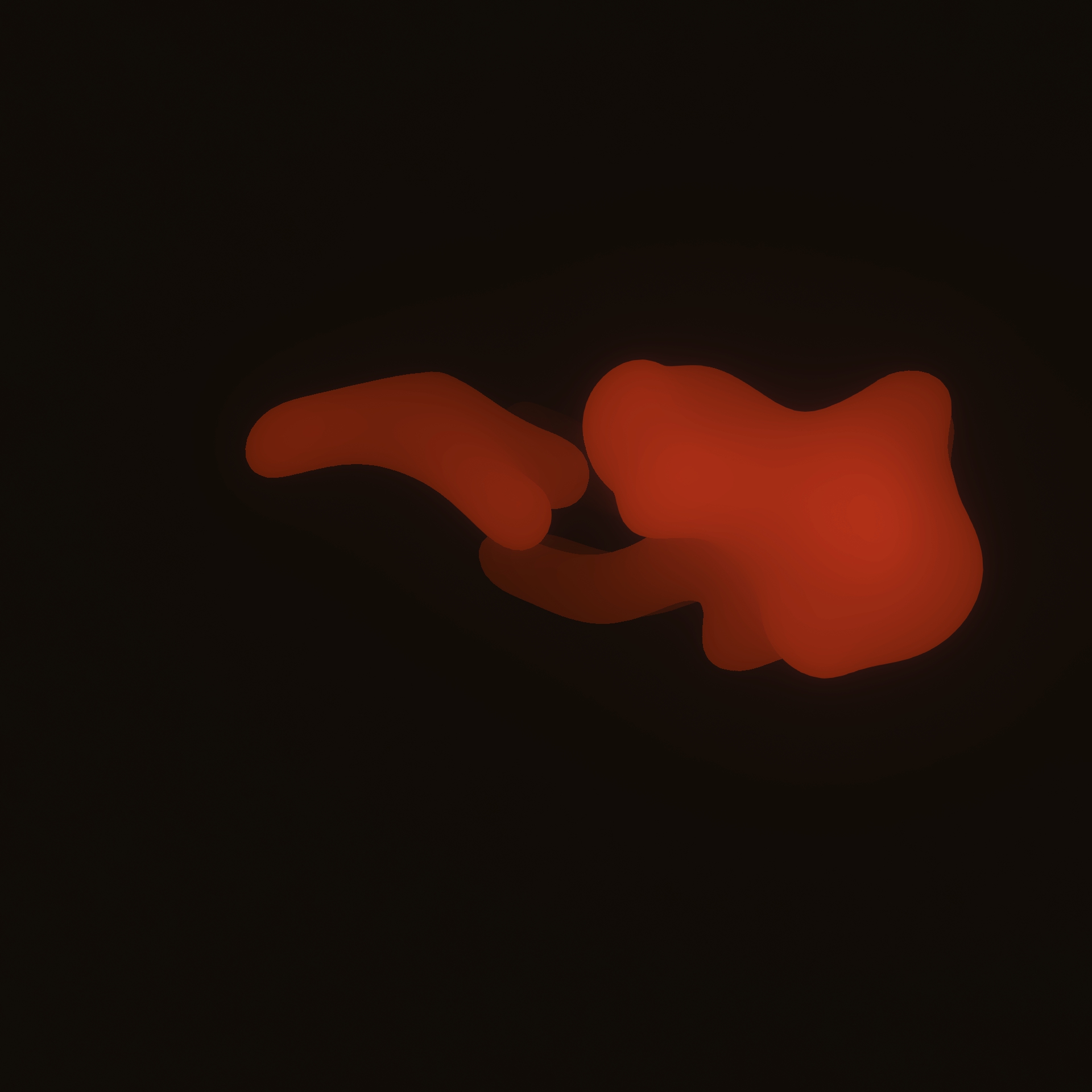 ultrasound_20260221_152543.jpg
