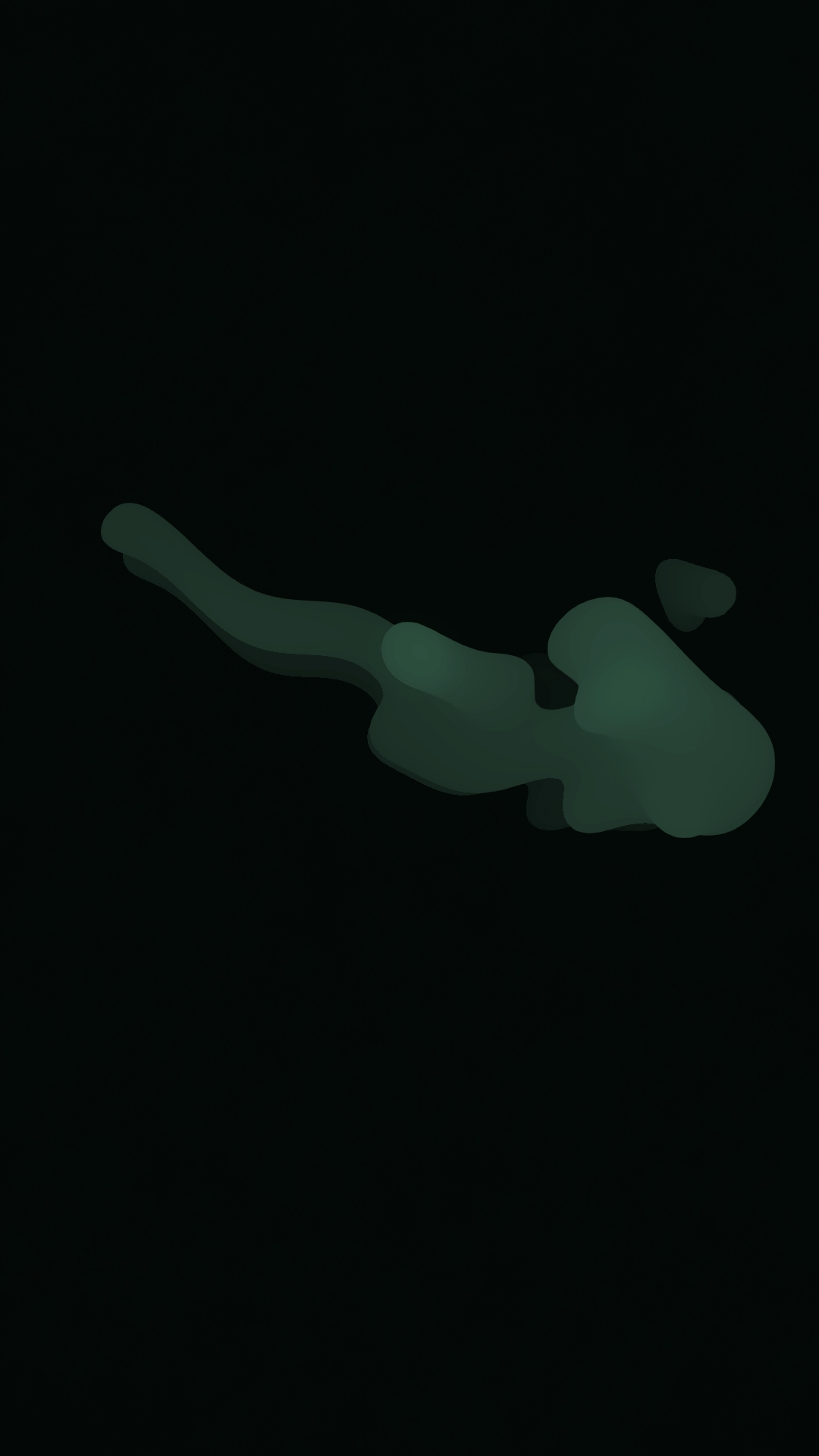 ultrasound_20260223_170426.jpg