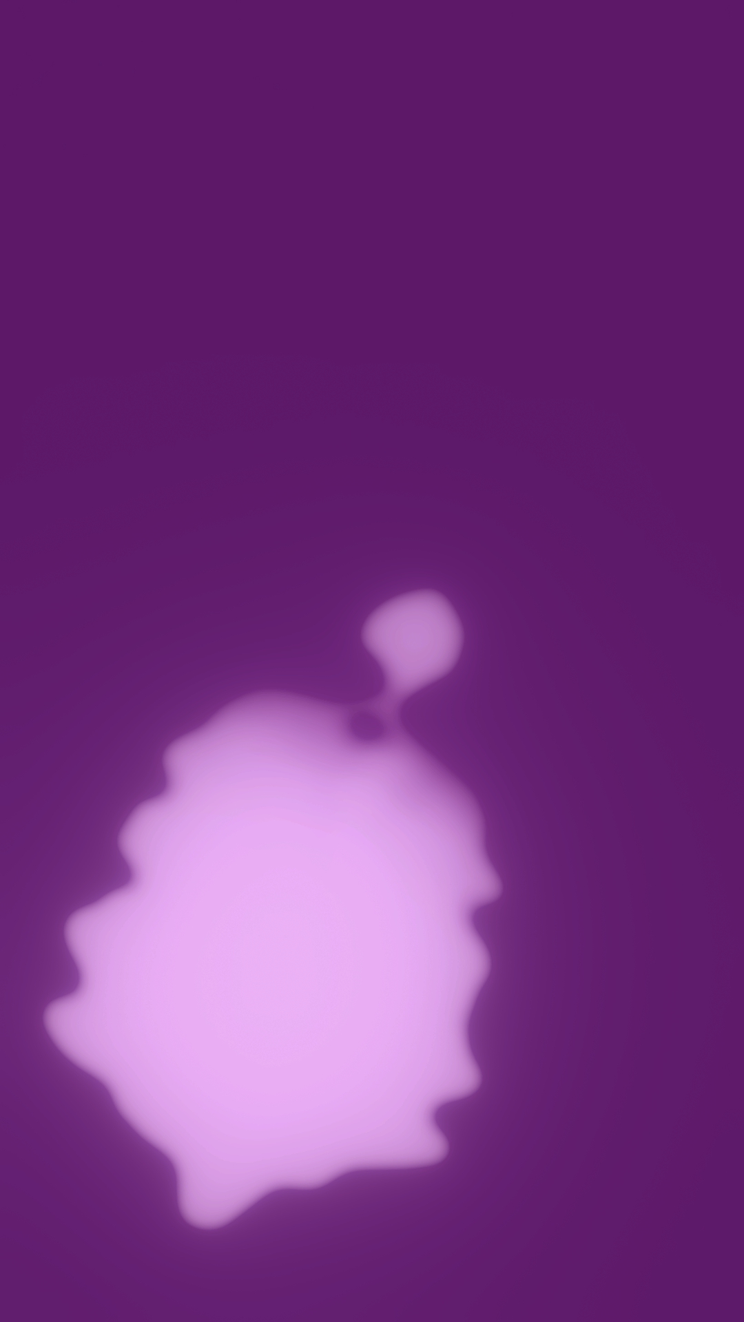 ultrasound_20260224_182925.jpg