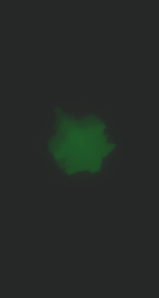 ultrasound_20260225_202839.jpg