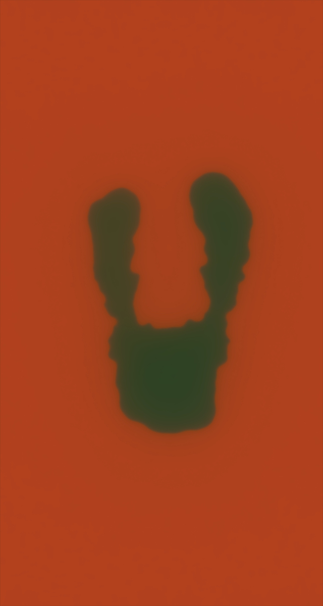 ultrasound_20260226_152510.jpg