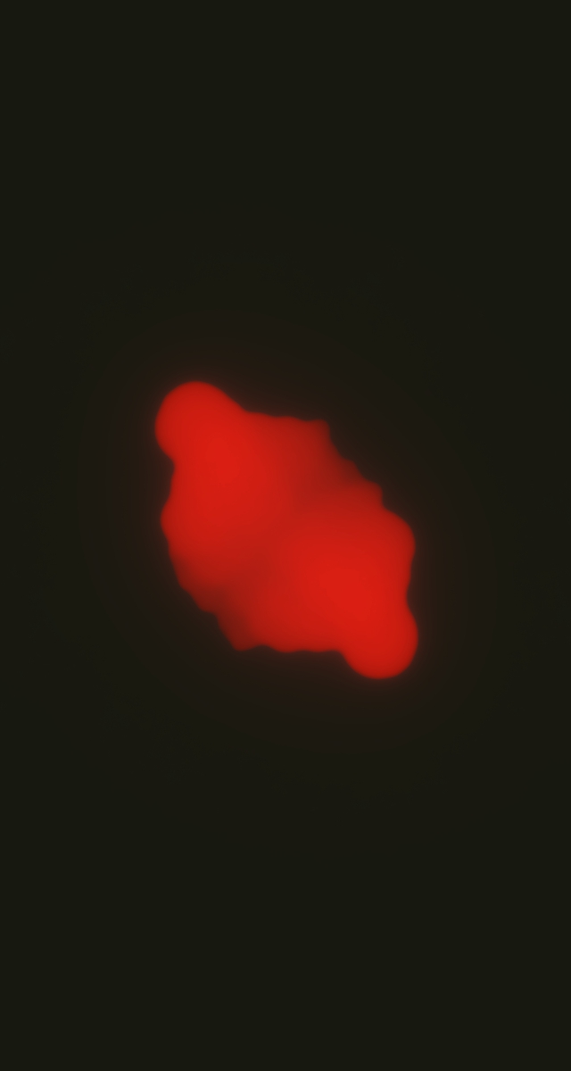 ultrasound_20260226_165951.jpg