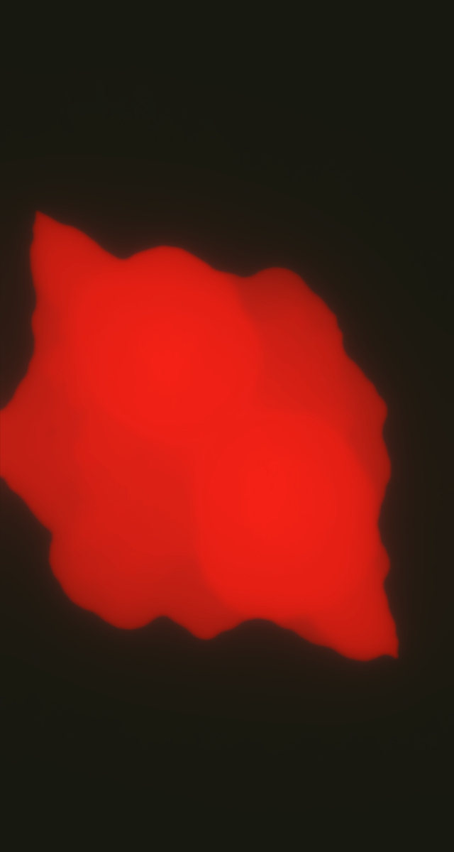 ultrasound_20260226_172537.jpg