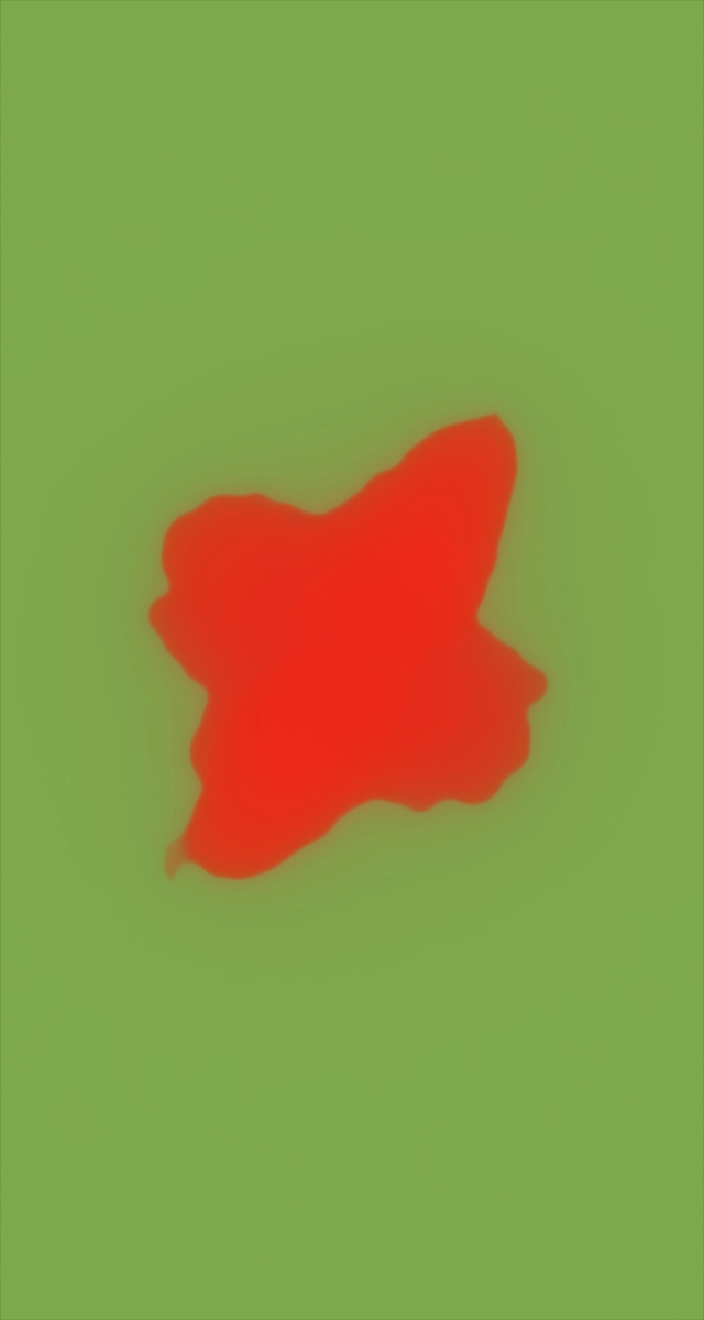 ultrasound_20260226_194204.jpg