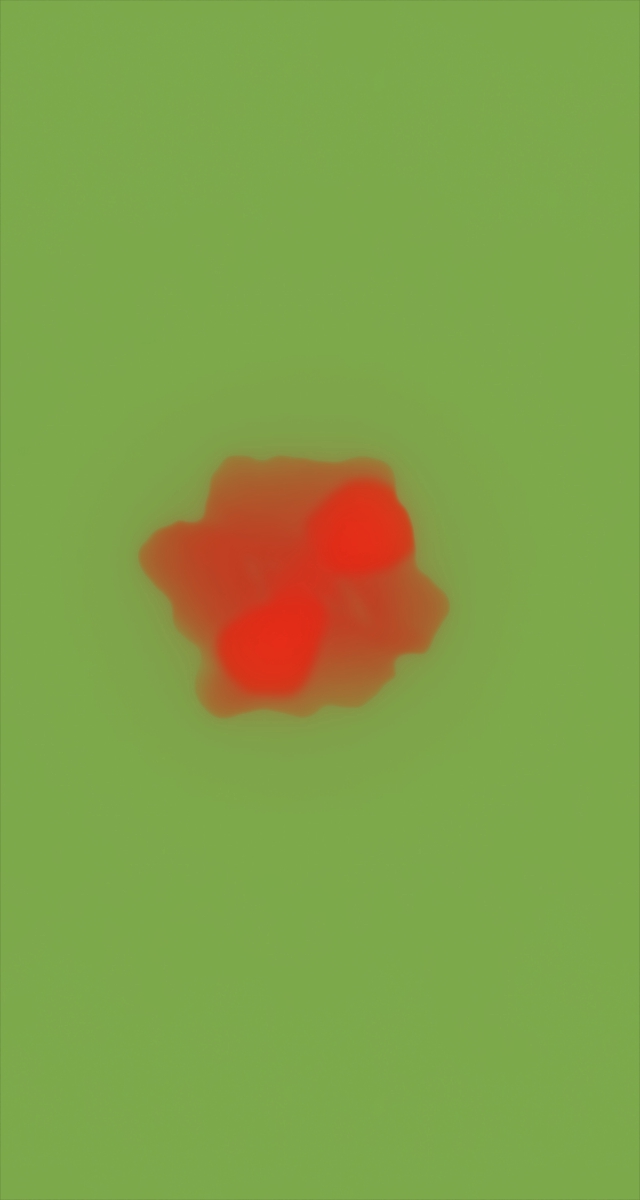 ultrasound_20260226_194611.jpg