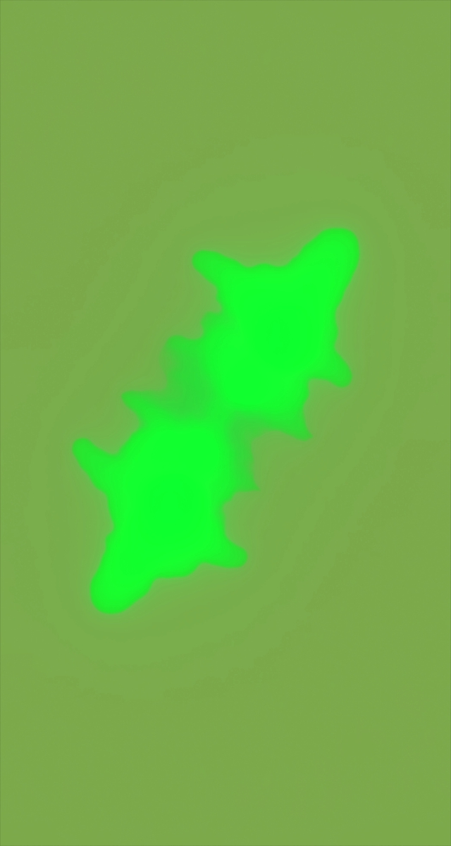 ultrasound_20260226_195051.jpg