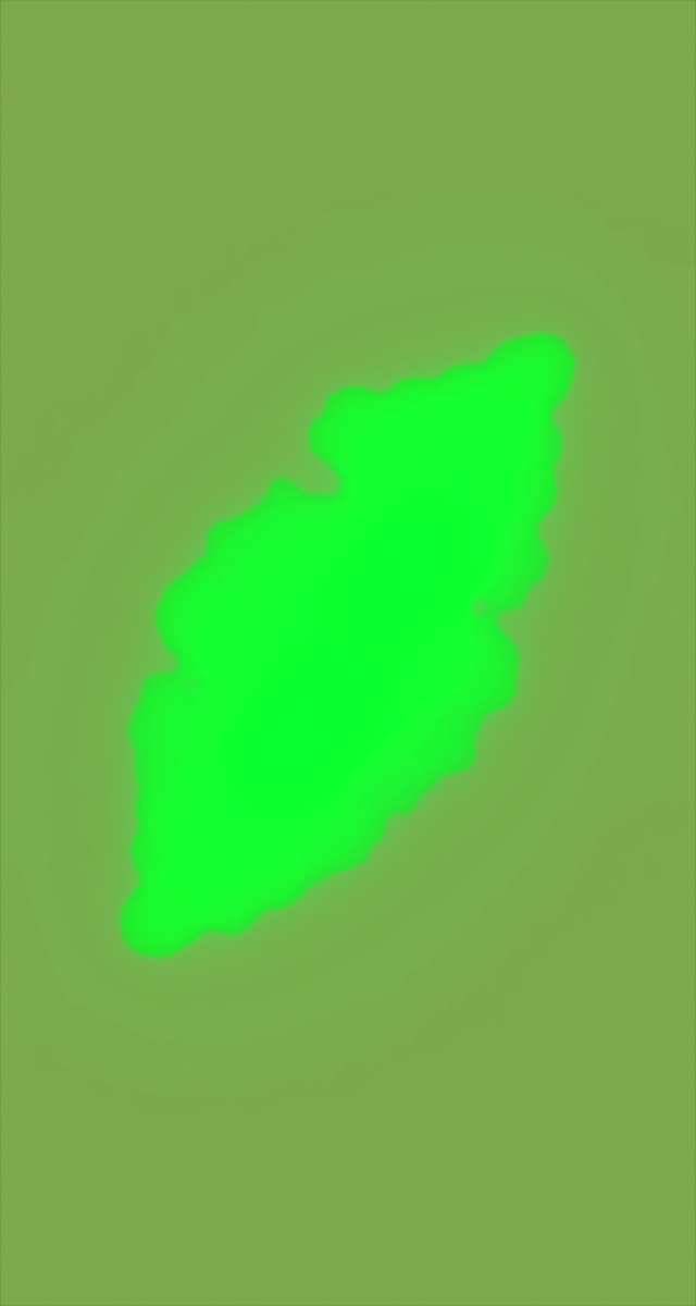 ultrasound_20260226_195213.jpg