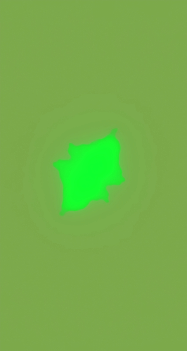 ultrasound_20260226_195530.jpg