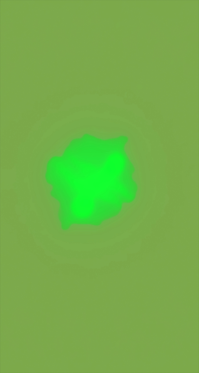 ultrasound_20260226_195612.jpg