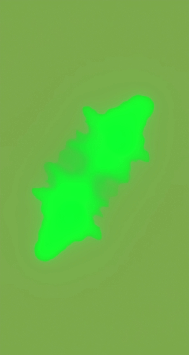 ultrasound_20260226_195727.jpg