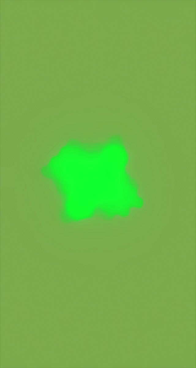 ultrasound_20260226_195953.jpg
