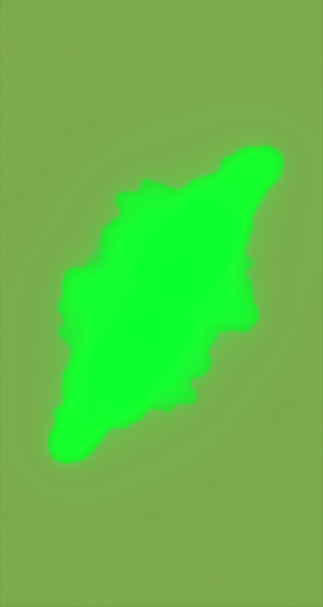 ultrasound_20260226_200059.jpg