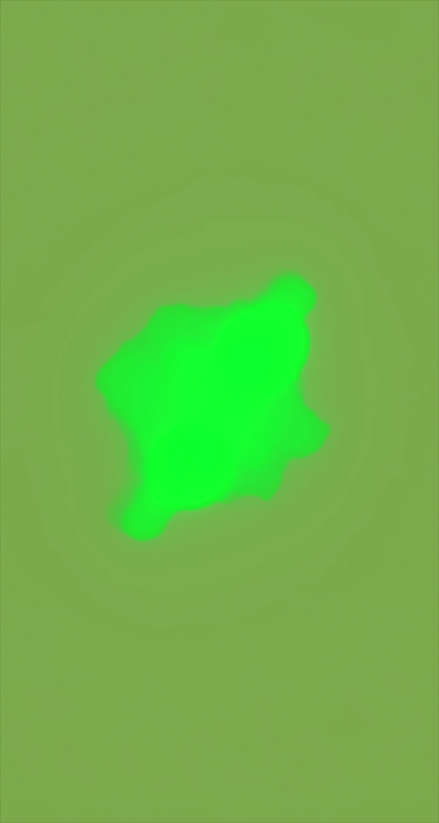 ultrasound_20260226_200258.jpg