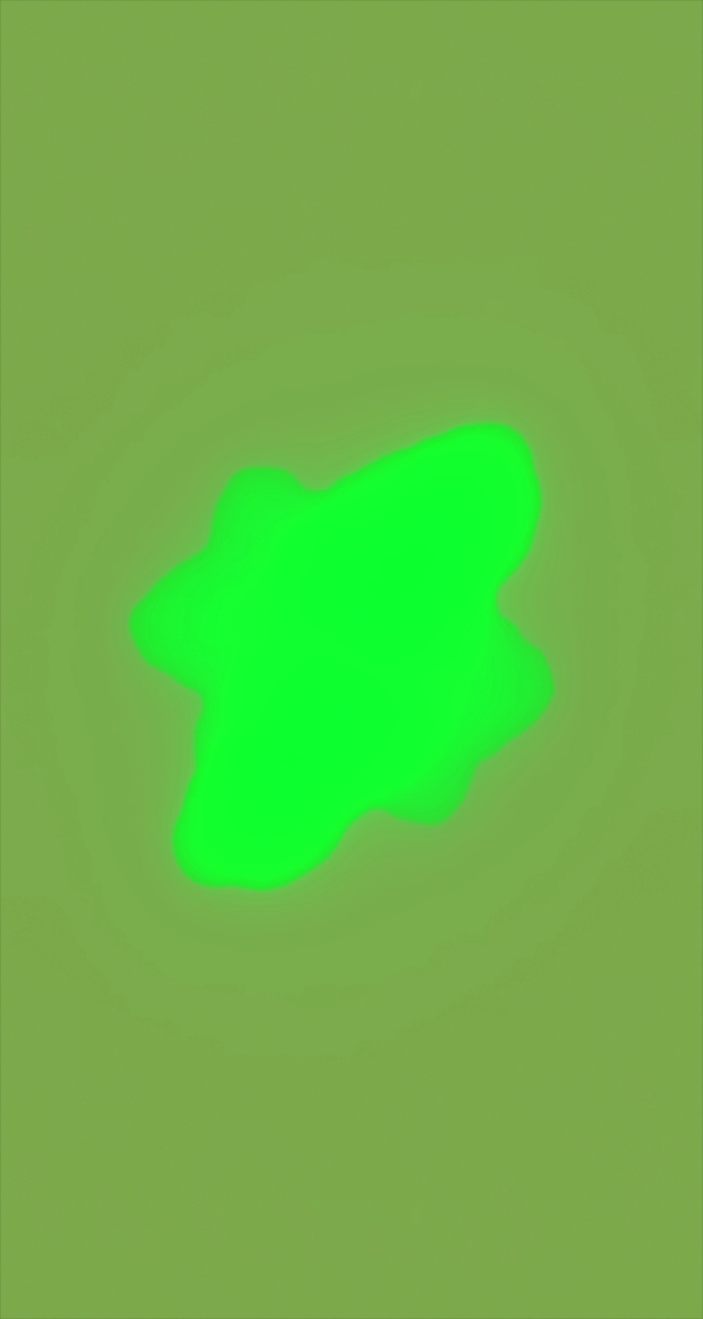 ultrasound_20260226_200343.jpg