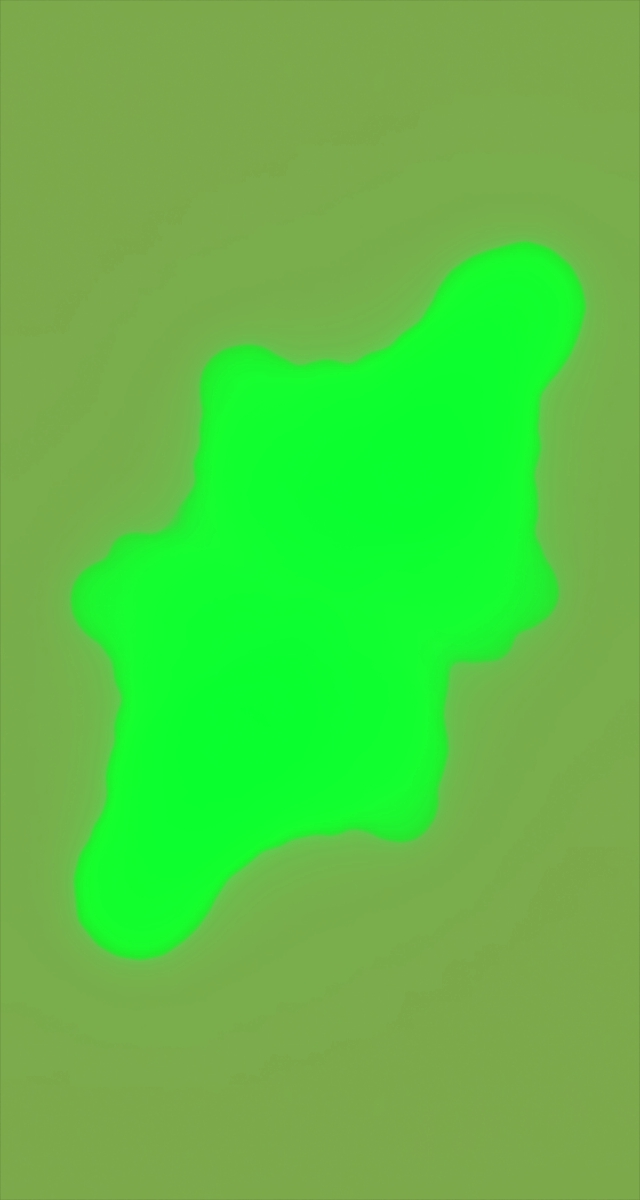 ultrasound_20260226_201102.jpg