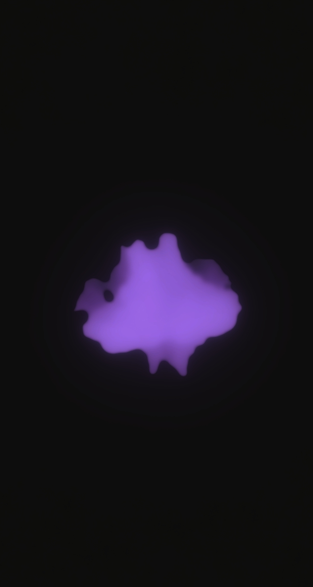 ultrasound_20260226_211008.jpg