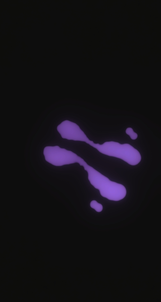 ultrasound_20260226_211641.jpg