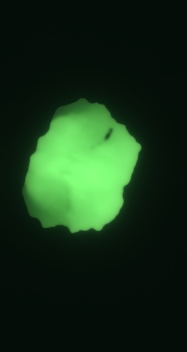 ultrasound_20260226_211809.jpg