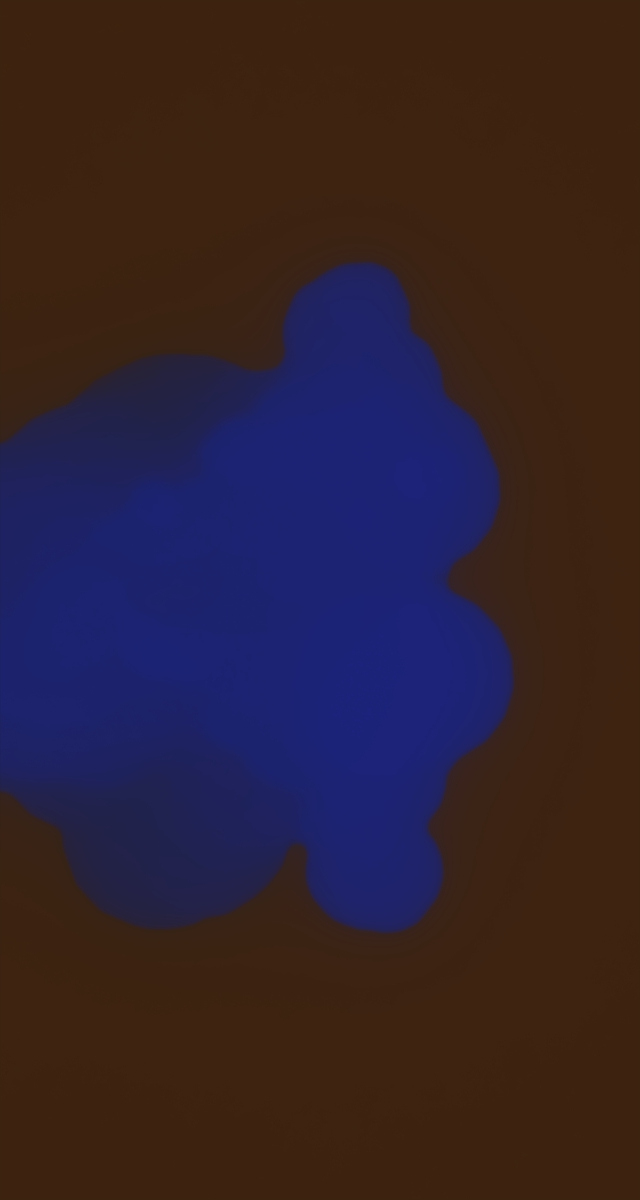 ultrasound_20260226_212448.jpg
