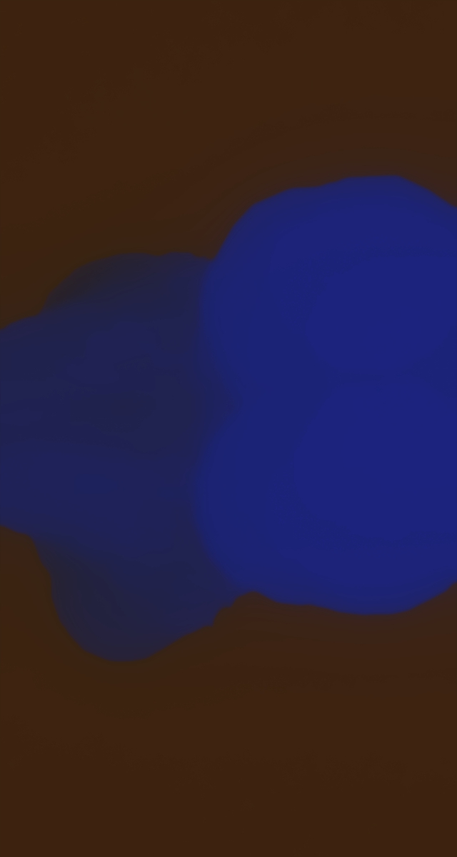 ultrasound_20260226_212836.jpg