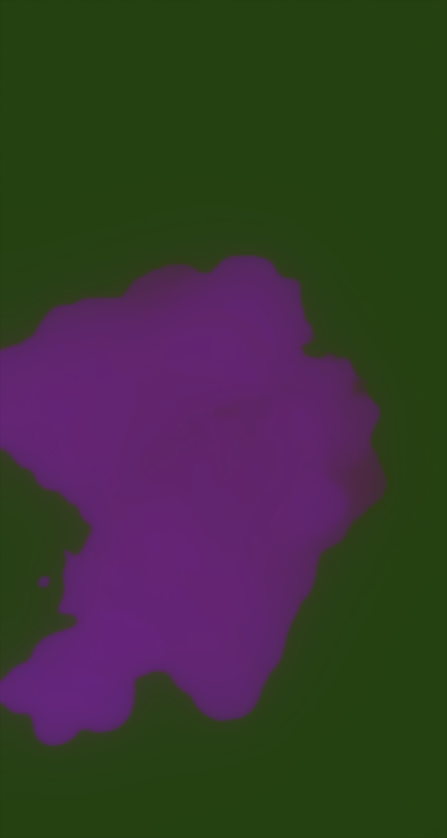ultrasound_20260226_213029.jpg