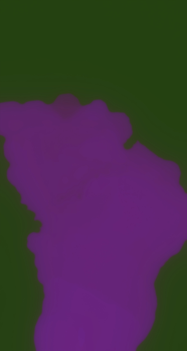 ultrasound_20260226_213126.jpg