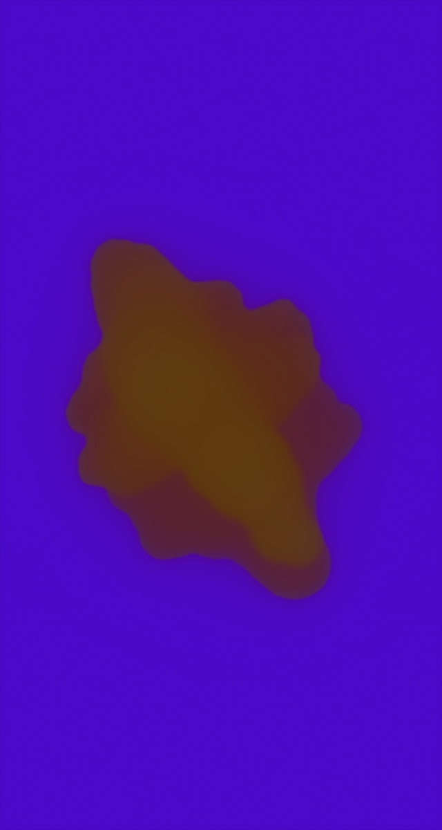 ultrasound_20260226_223353.jpg