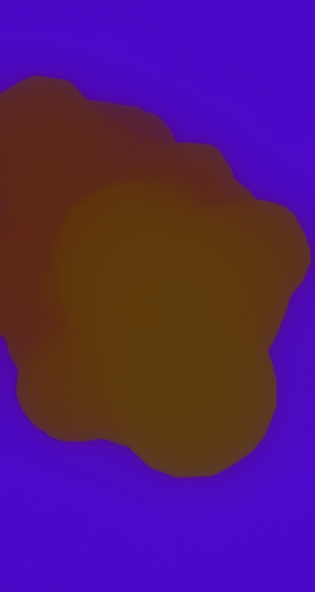 ultrasound_20260226_223427.jpg