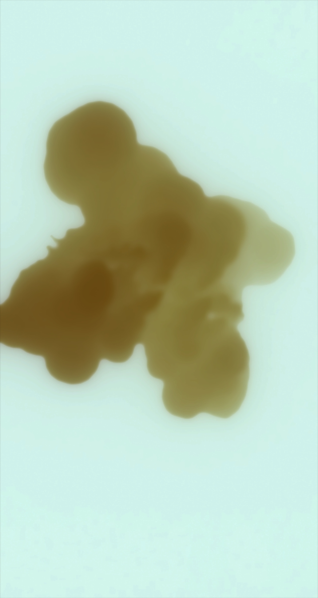 ultrasound_20260226_224921.jpg