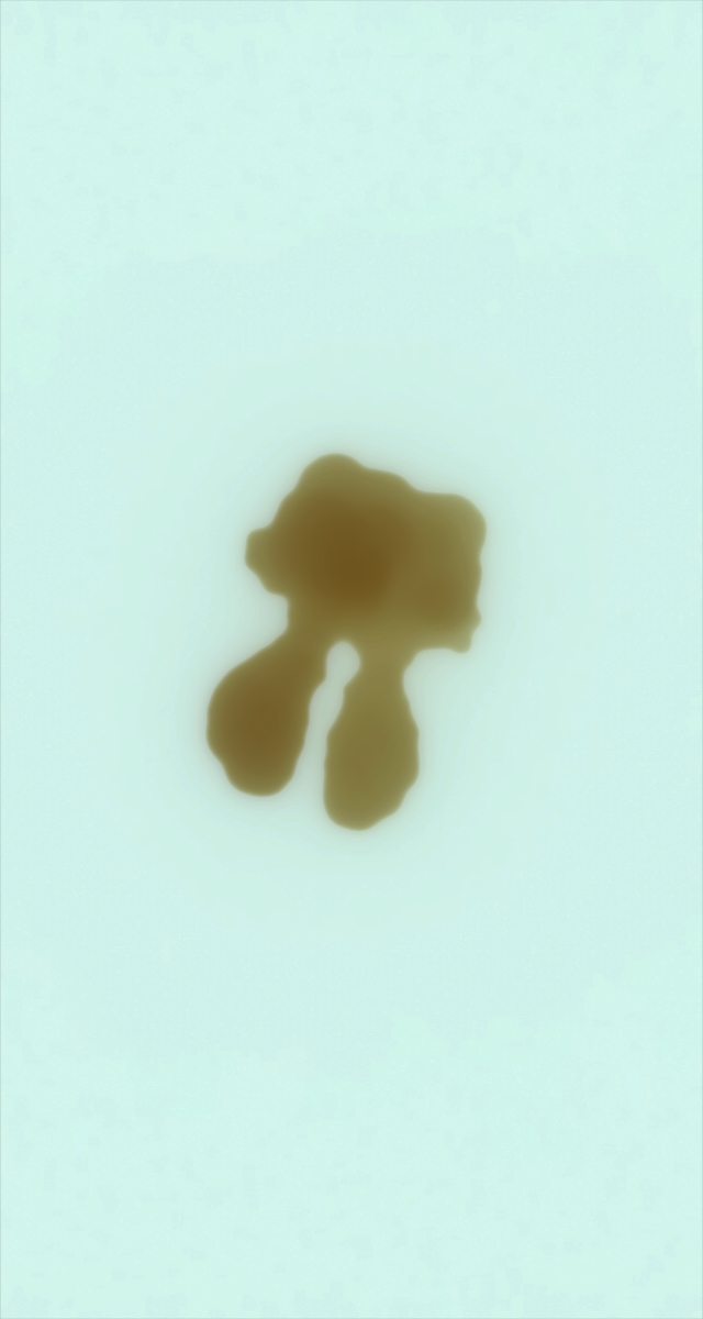 ultrasound_20260226_224956.jpg