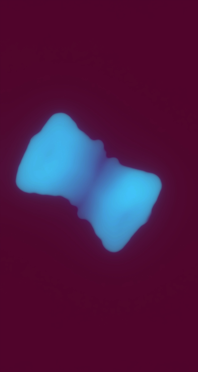 ultrasound_20260227_150659.jpg