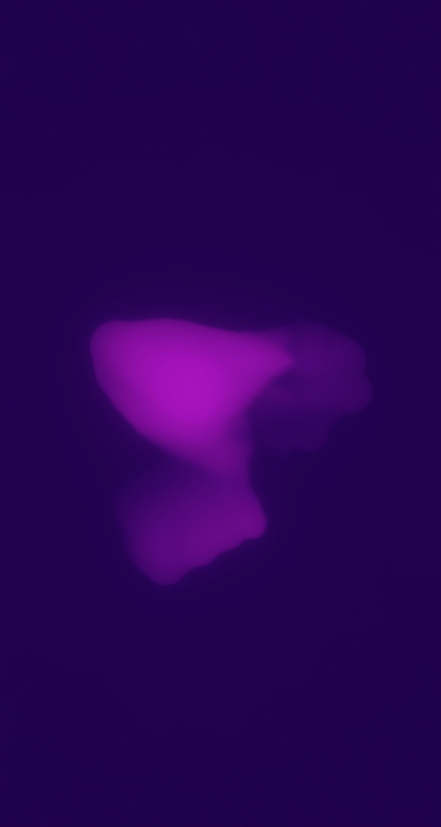 ultrasound_20260227_152008.jpg