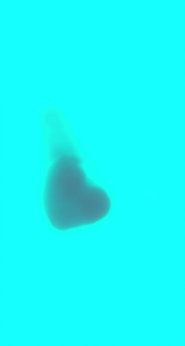 ultrasound_20260227_173212.jpg