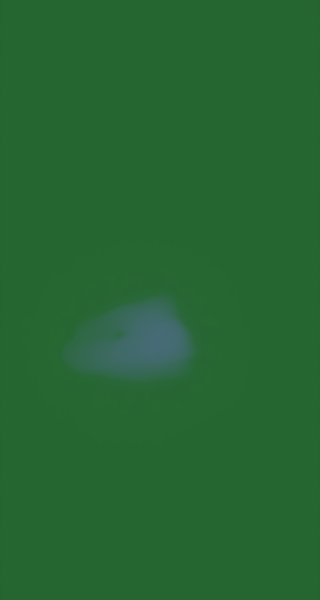 ultrasound_20260227_182154.jpg