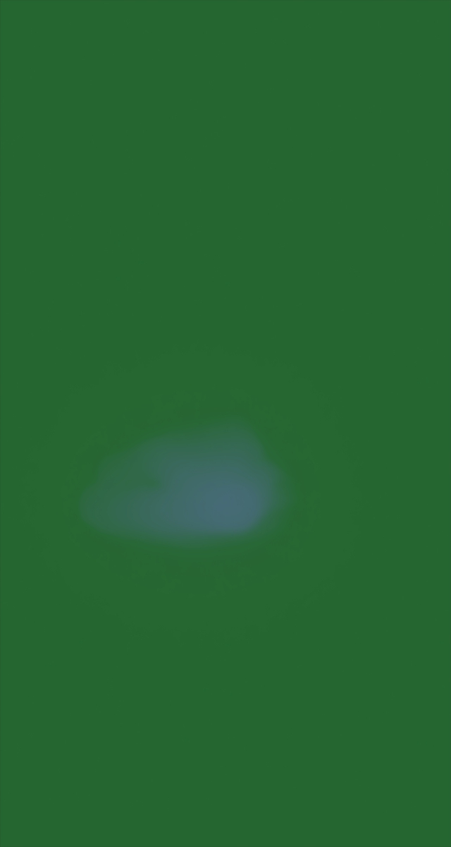 ultrasound_20260227_182234.jpg
