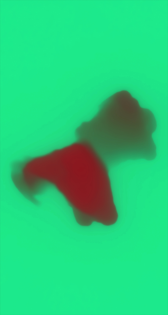 ultrasound_20260227_185536.jpg