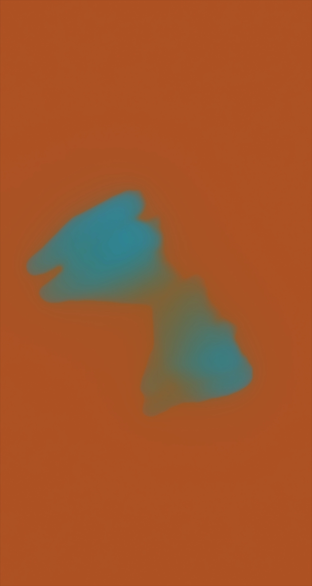 ultrasound_20260227_192747.jpg