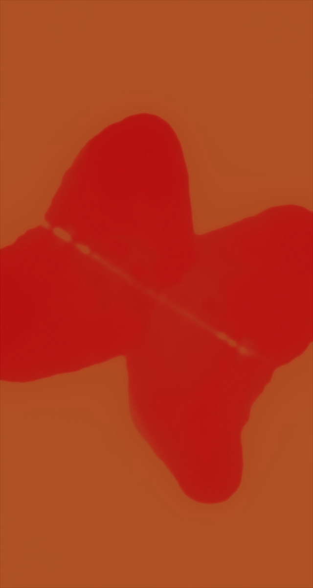 ultrasound_20260227_193024.jpg