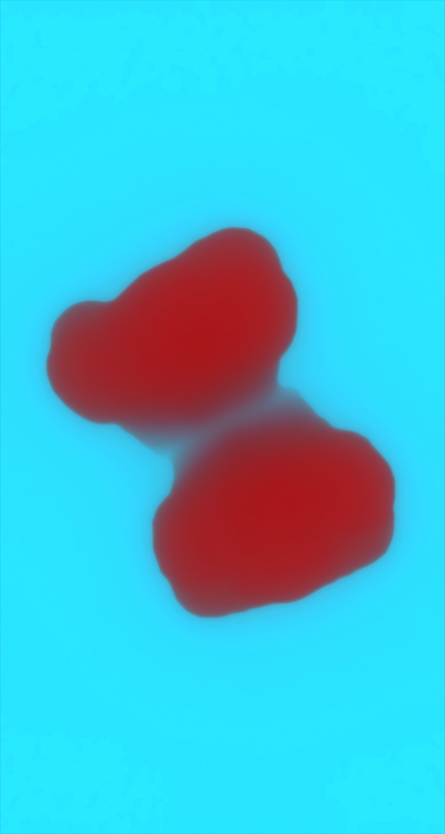 ultrasound_20260227_195241.jpg