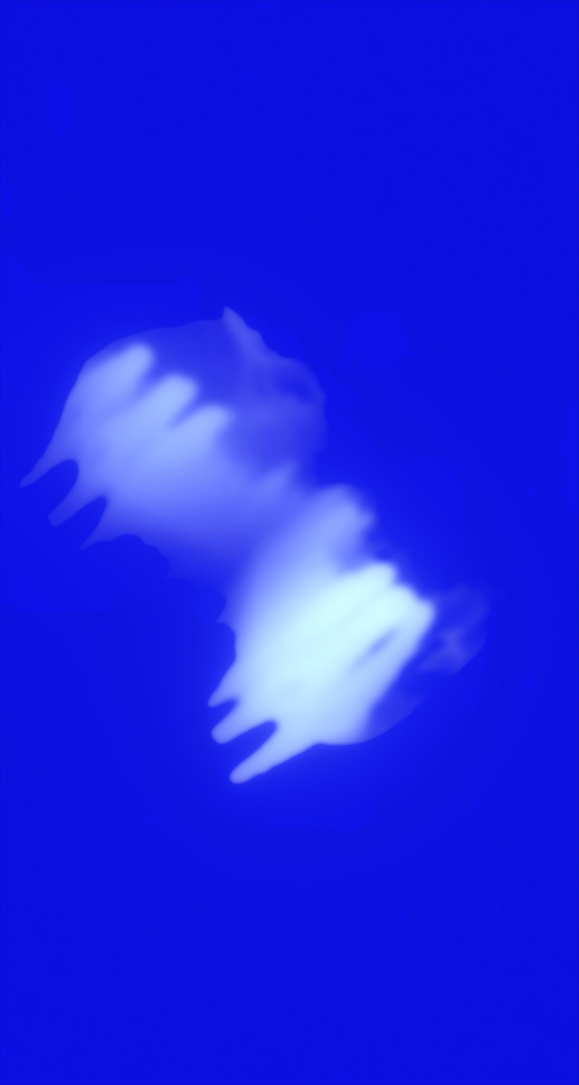 ultrasound_20260227_200037.jpg