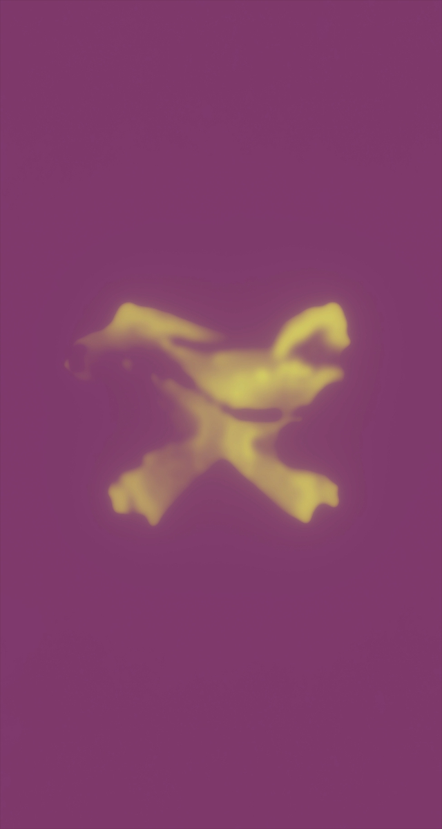 ultrasound_20260227_200802.jpg