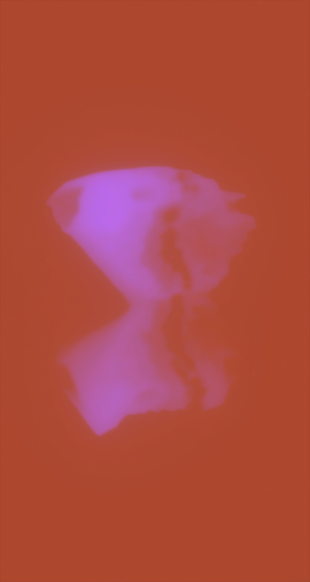 ultrasound_20260227_201217.jpg