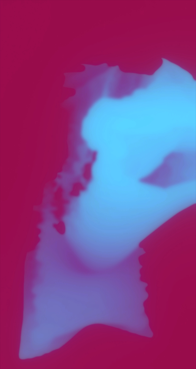 ultrasound_20260227_201958.jpg
