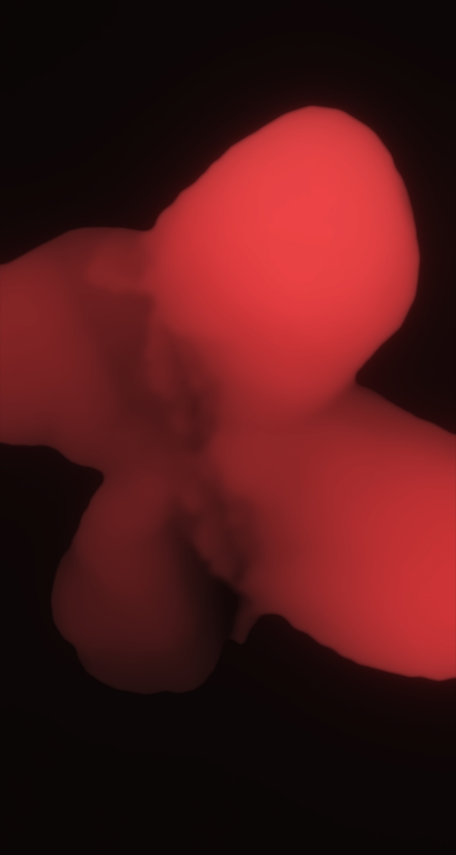 ultrasound_20260227_202719.jpg