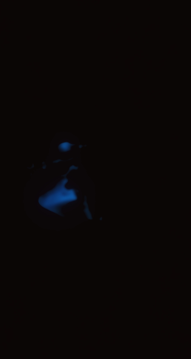 ultrasound_20260227_203017.jpg