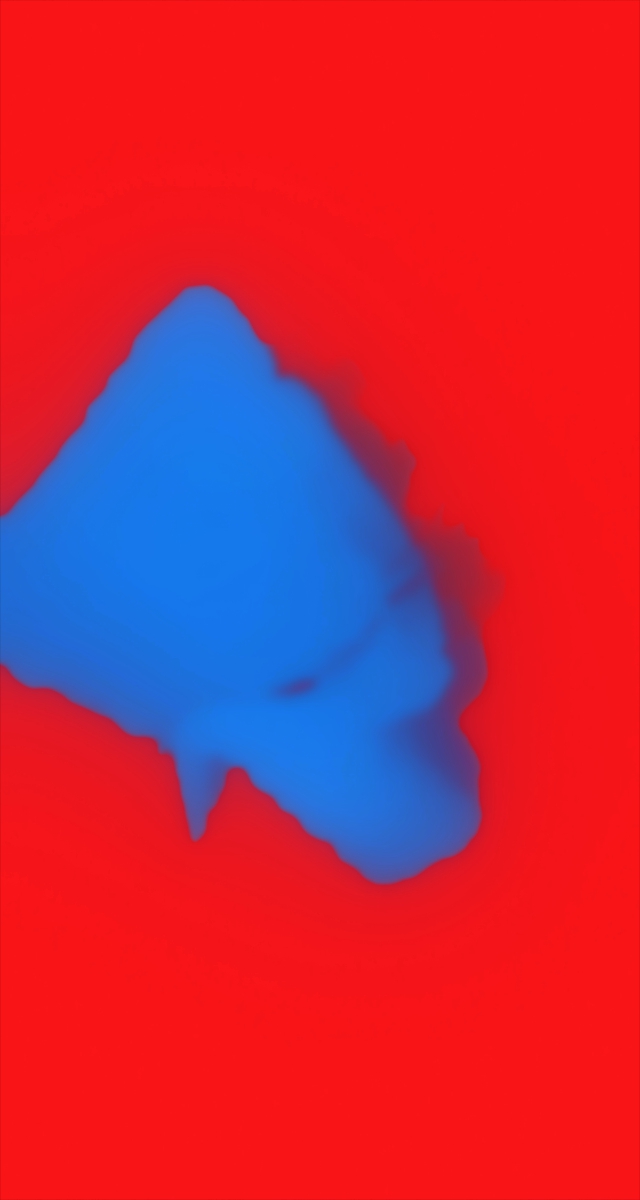 ultrasound_20260227_203113.jpg