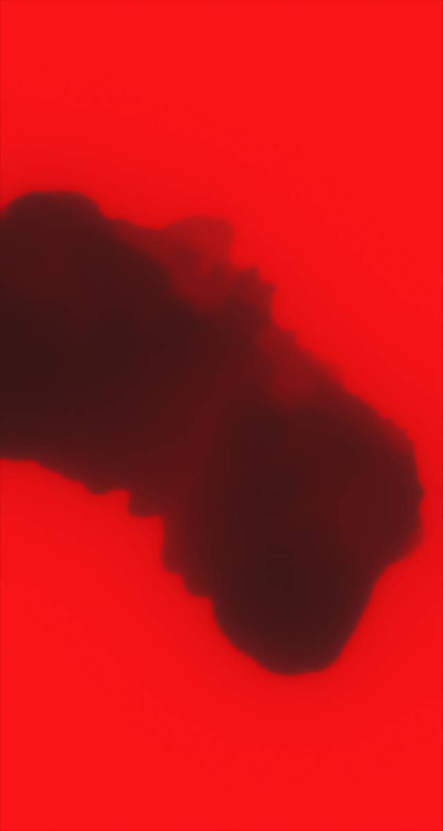 ultrasound_20260227_203233.jpg