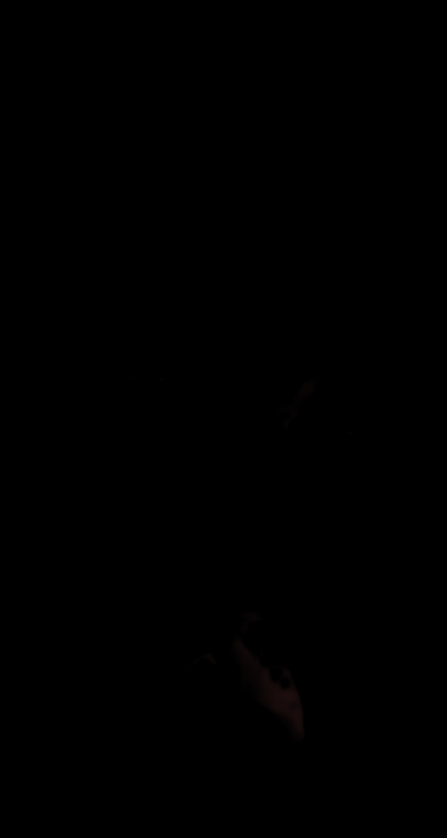 ultrasound_20260227_204107.jpg