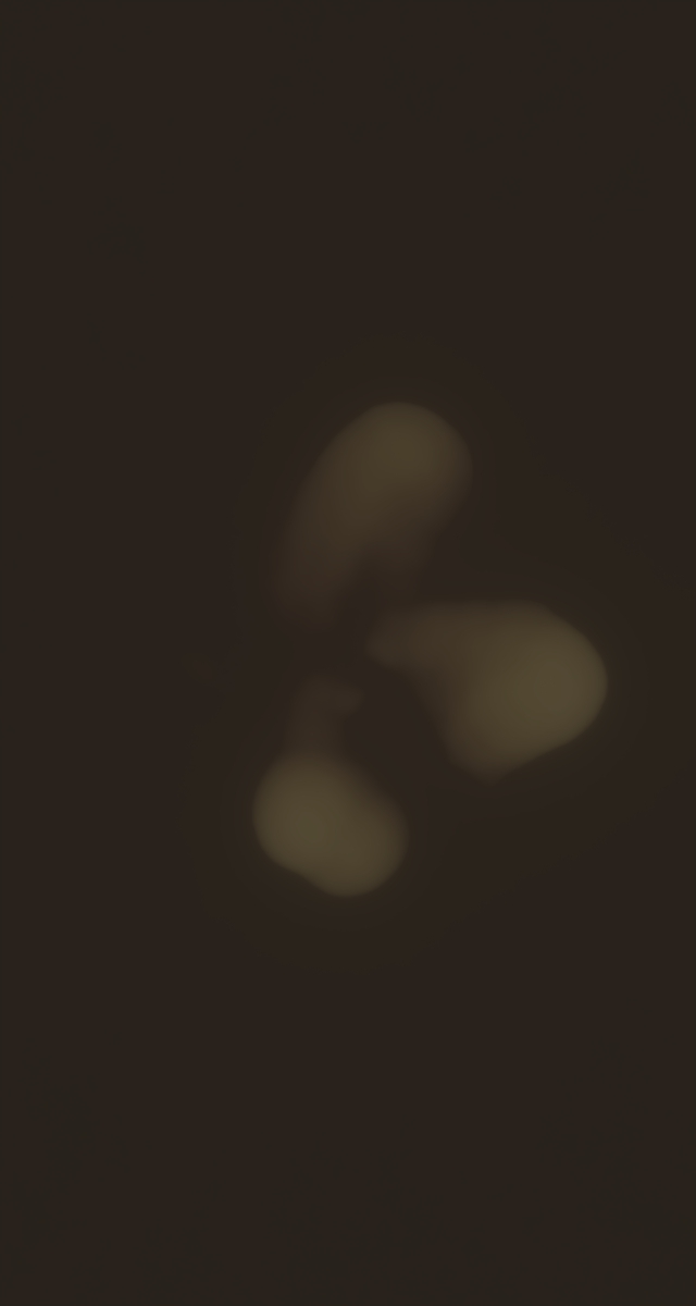 ultrasound_20260227_204422.jpg