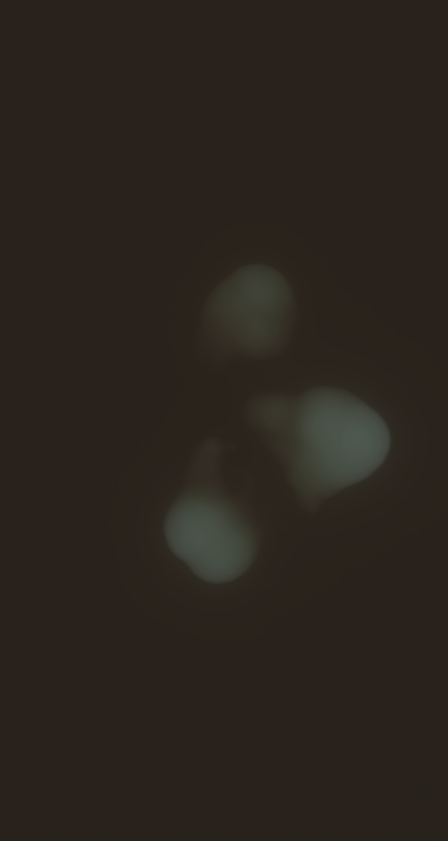 ultrasound_20260227_204455.jpg
